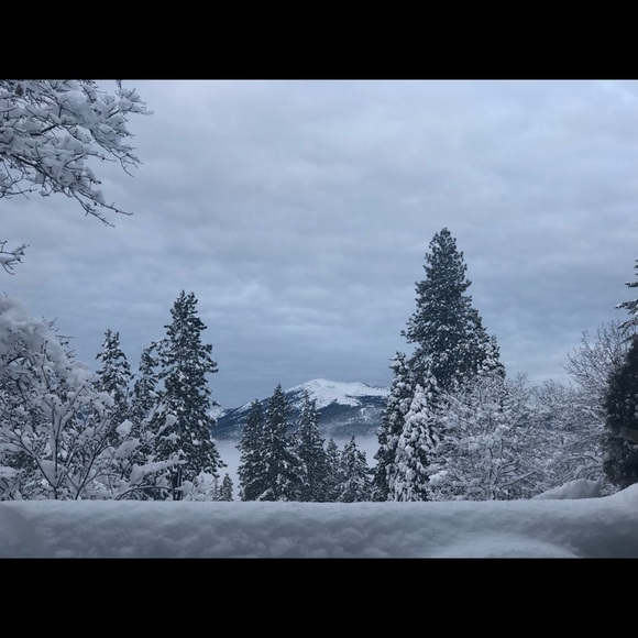 Meet your Posher, Denise - Picture 2 of 3